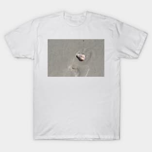 Seashell by the Seashore T-Shirt